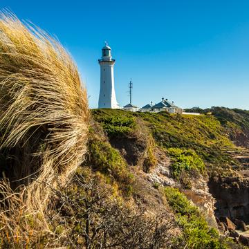 Green Cape Lighthouse & tussock, New South Wales, Australia