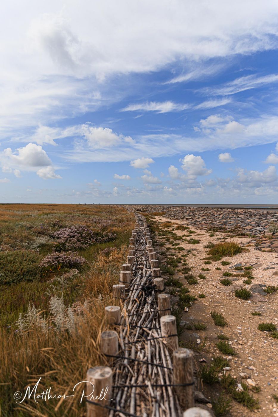 Hallig Hooge Nordspitze, Germany