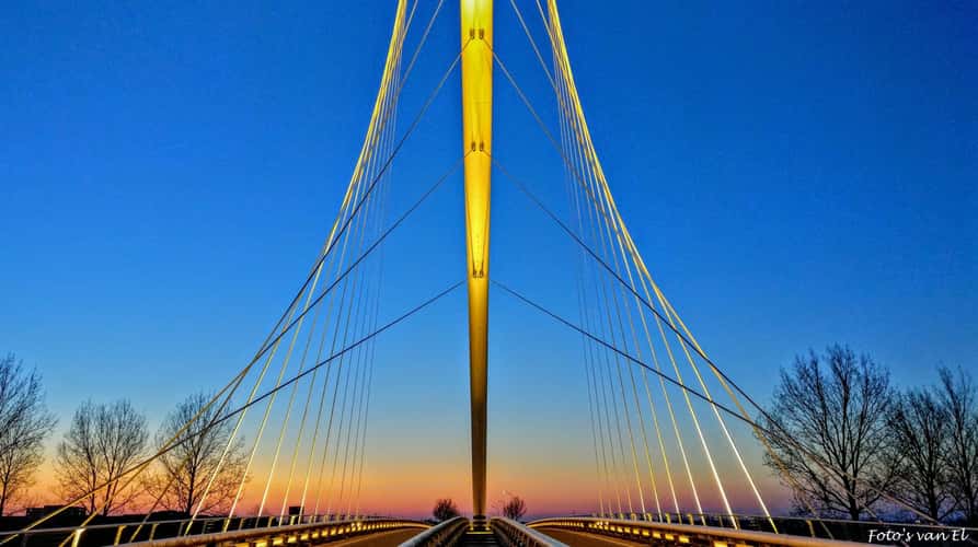 Harp Bridge by Calatrava