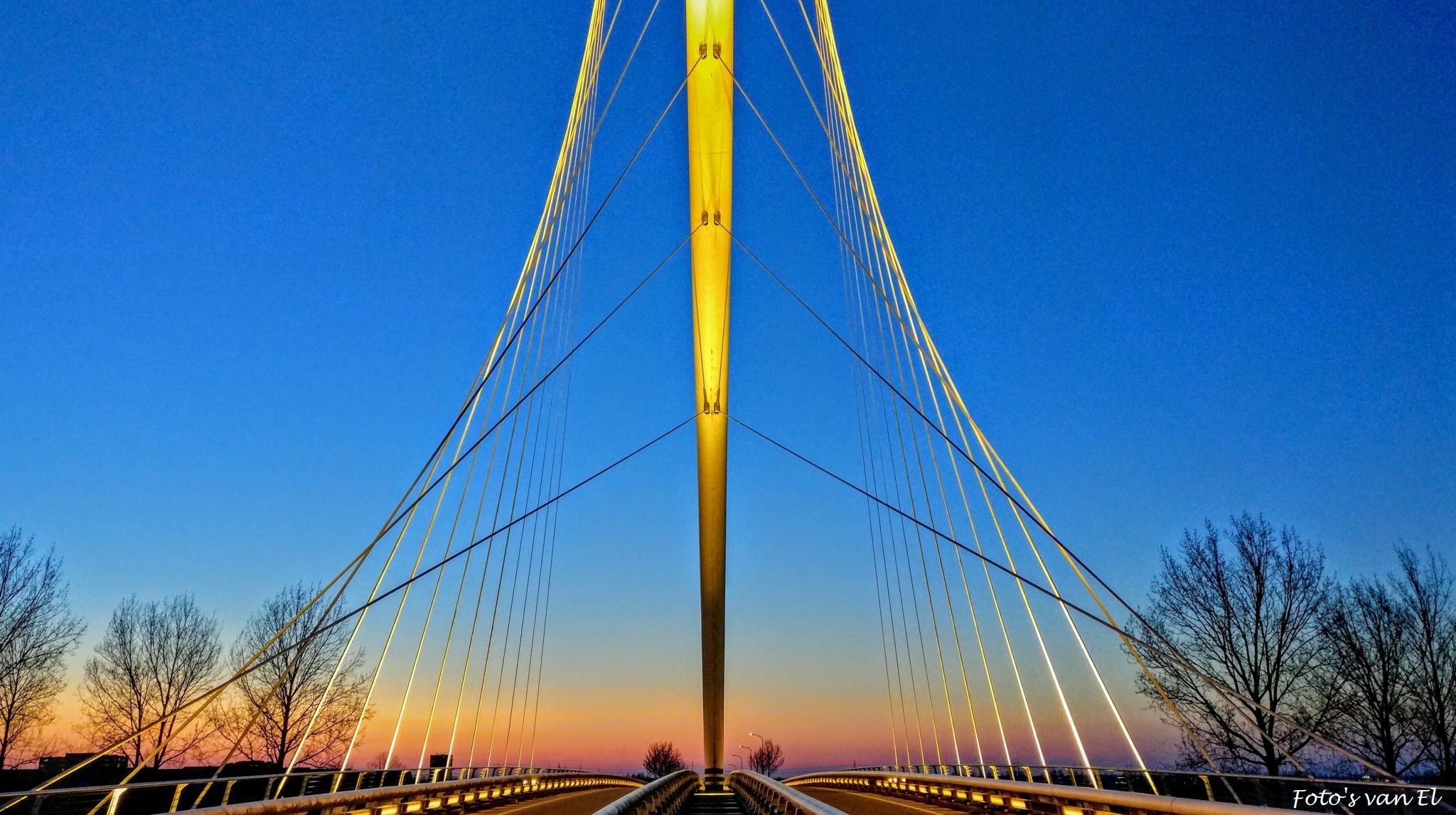 Harp Bridge by Calatrava, Netherlands