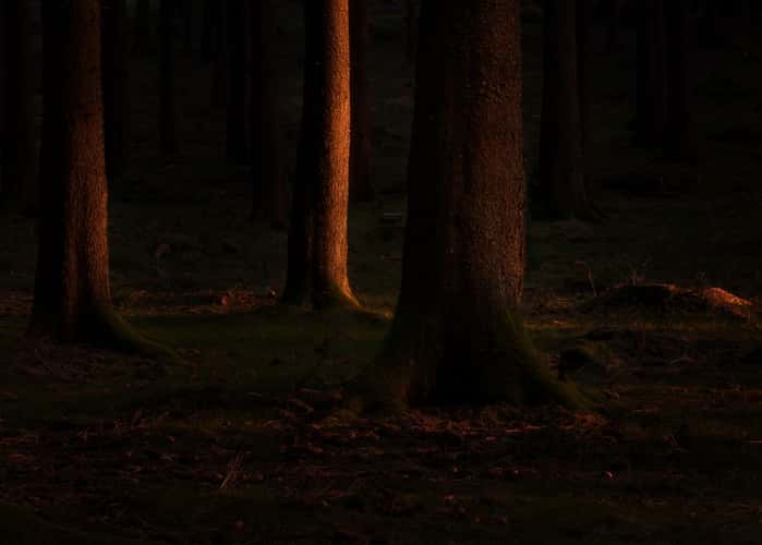 Hegewiese Taunus