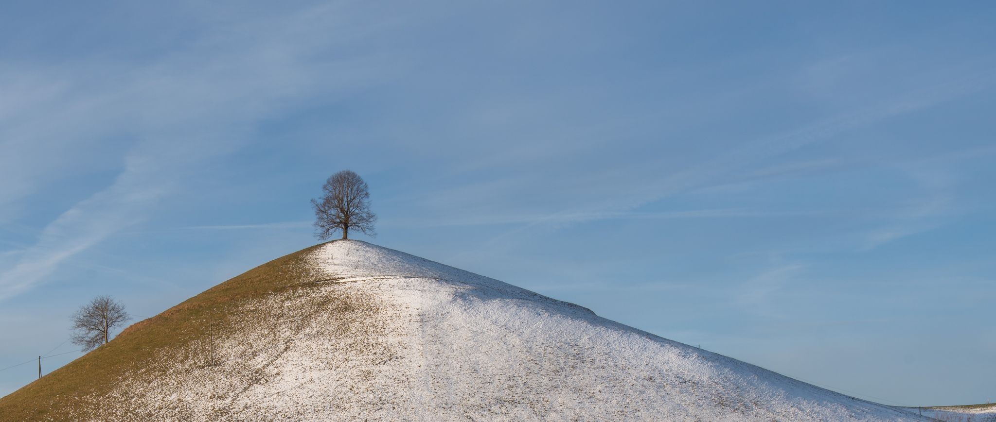 Fairy tale trees, Neuheim, Switzerland