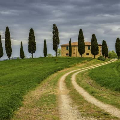 I Cipressini bei Pienza, Italy