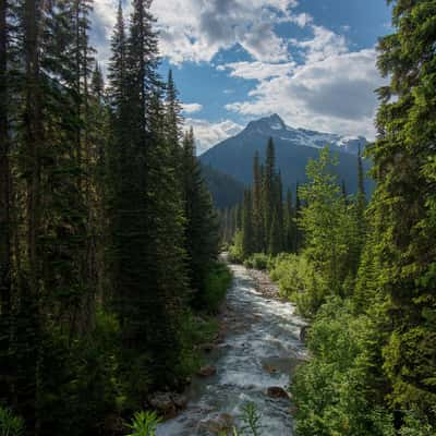 Illecillewaet river with Mt Cheops, Canada