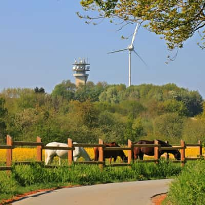 View of the Longinus Tower, in the Baumberge, Germany