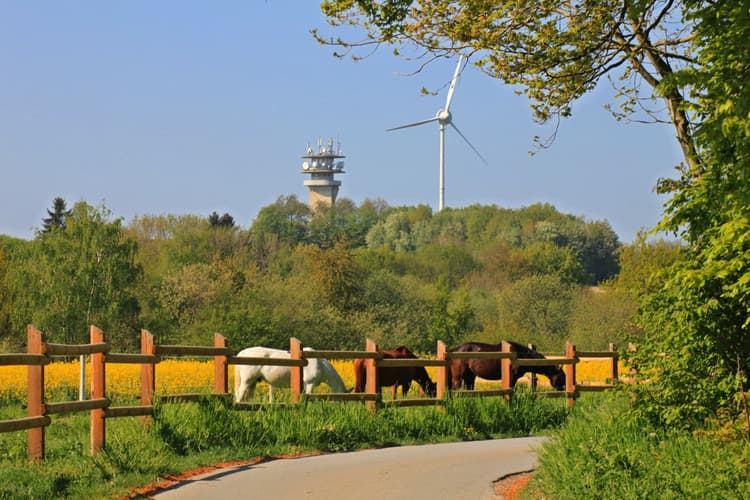 View of the Longinus Tower, in the Baumberge
