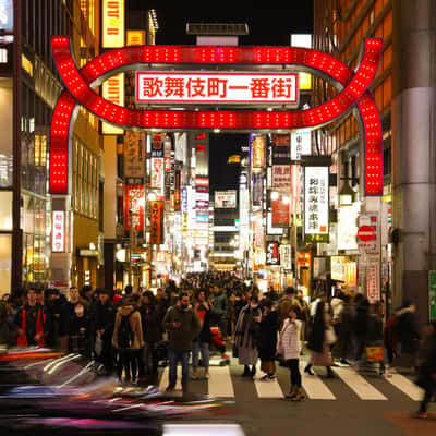 Kabukicho Golden Gate, Japan