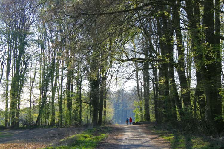 Way of the Cross to the Brother Claus Chapel
