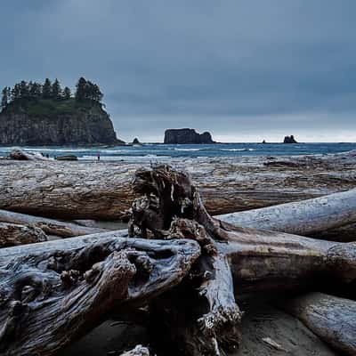 La Push, 2nd Beach, USA