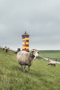 Lighthouse Pilsum