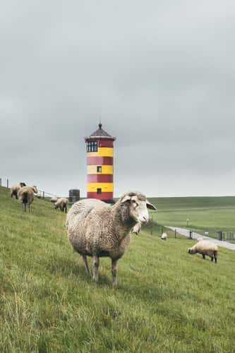 Lighthouse Pilsum