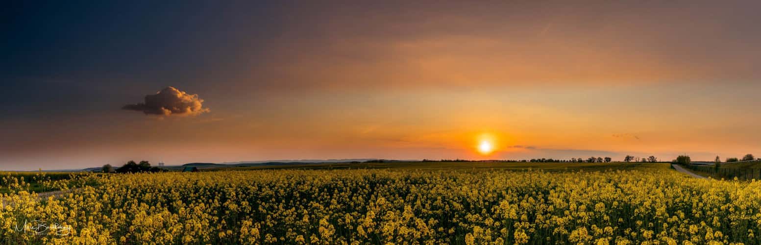 Field in Burmerange
