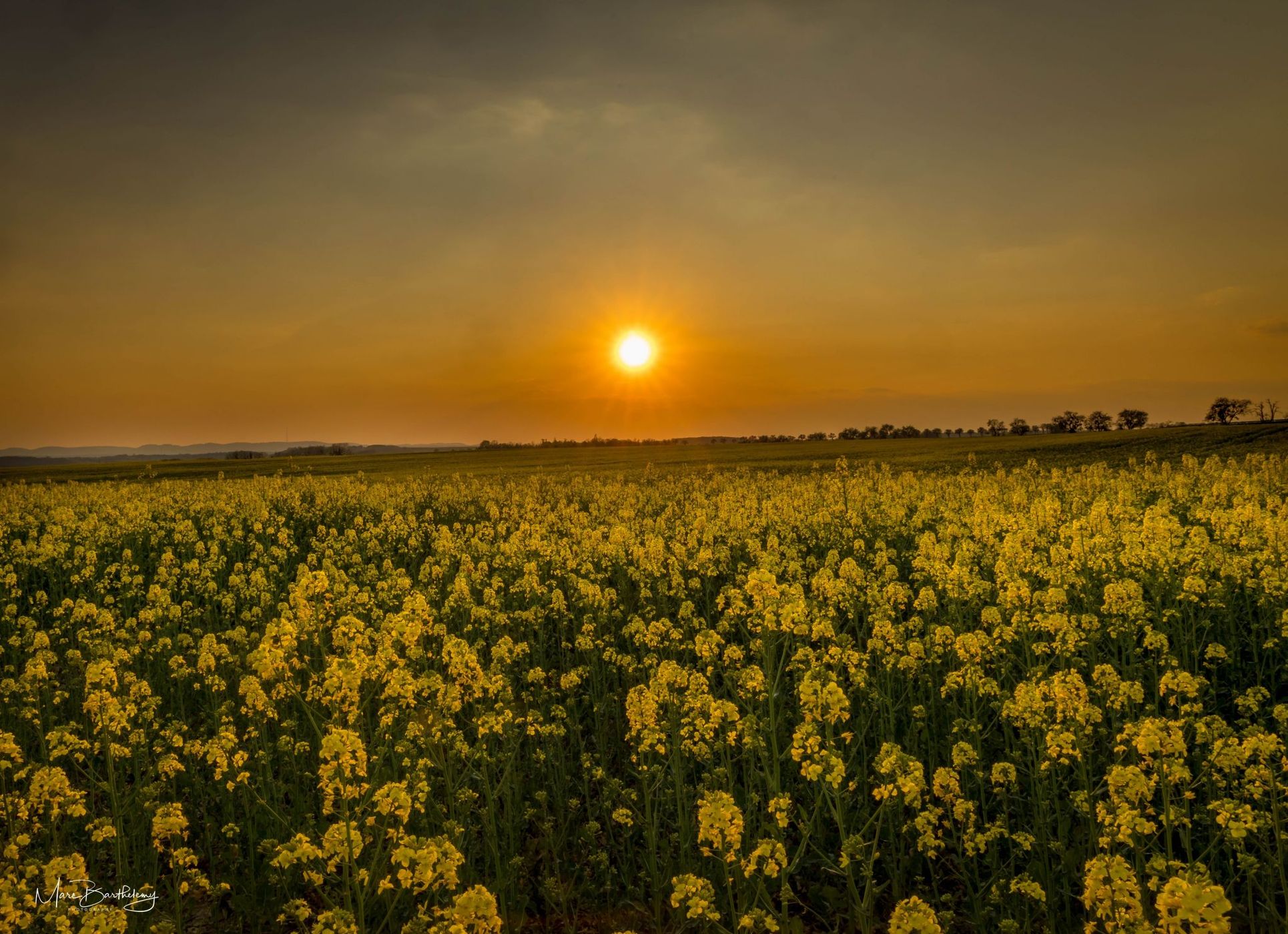 Field in Burmerange, Luxembourg