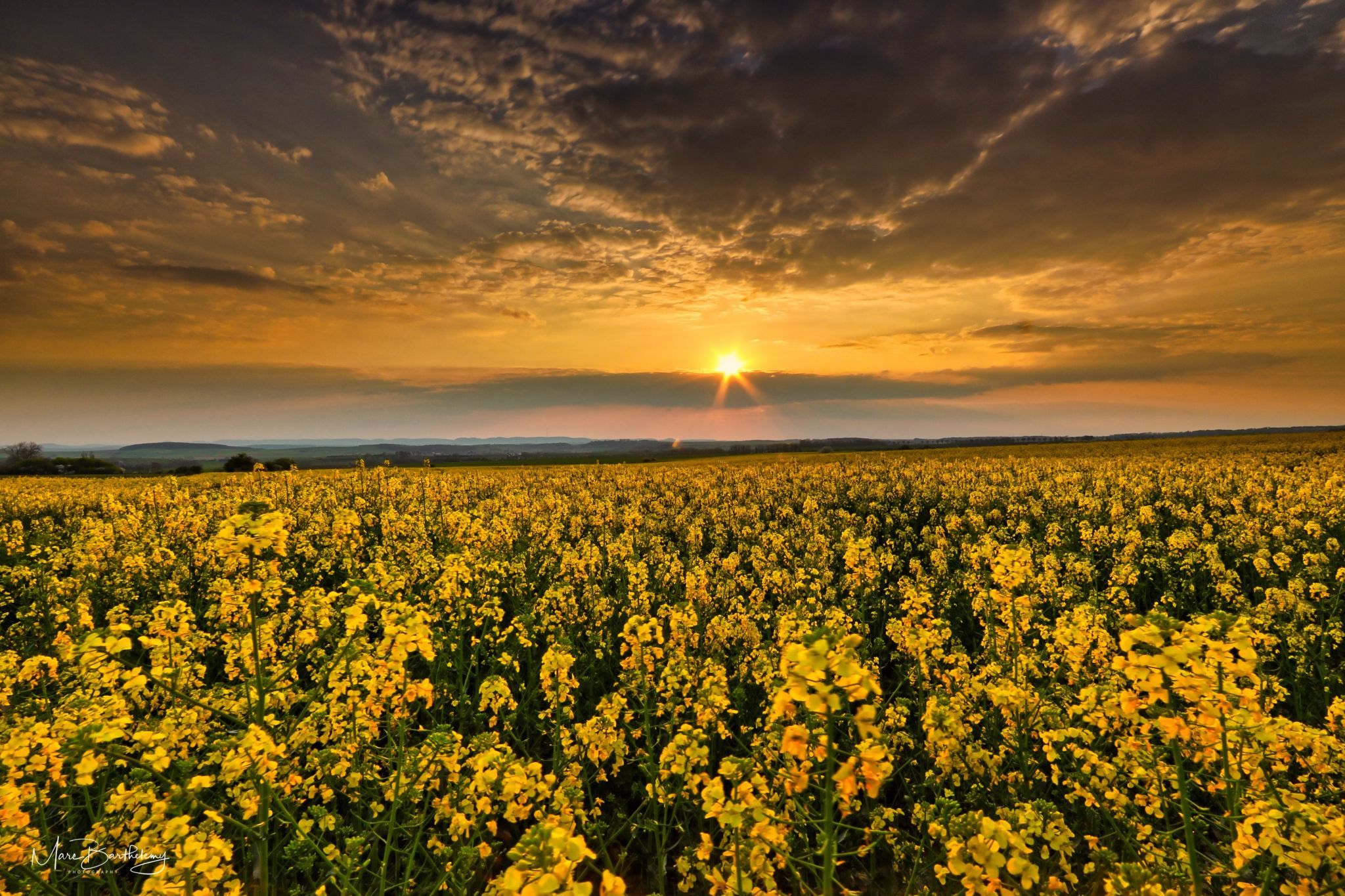 Field in Burmerange, Luxembourg