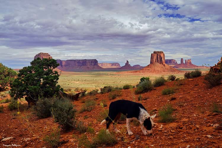 Monument Valley from Artist's Point, Arizona