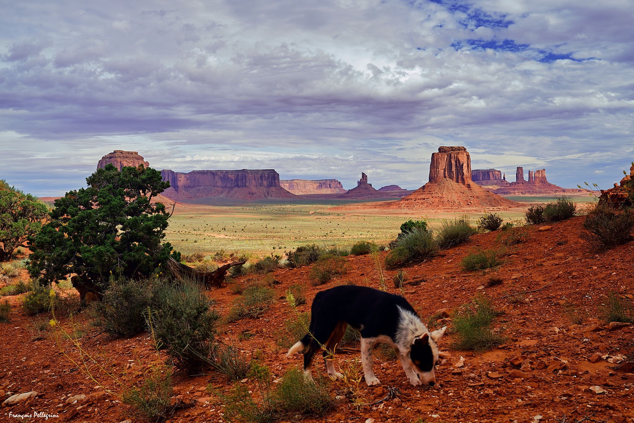 Monument Valley from Artist's Point, Arizona, USA