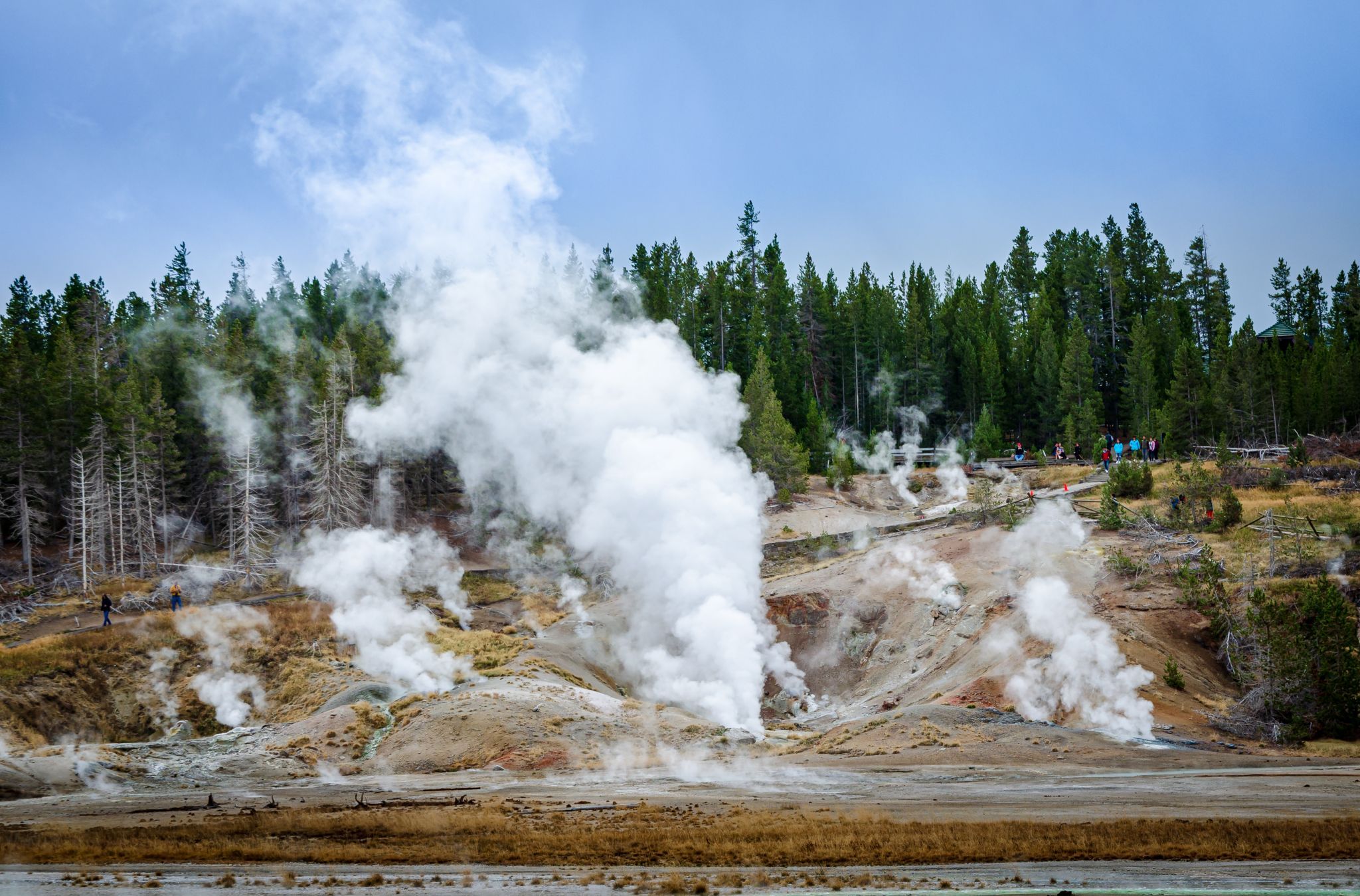 Norris Geyser Basin, USA