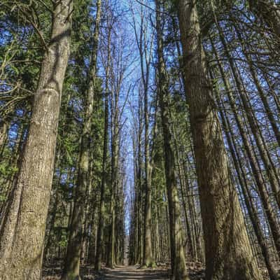 Oak Hill Trail, USA