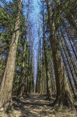 Oak Hill Trail