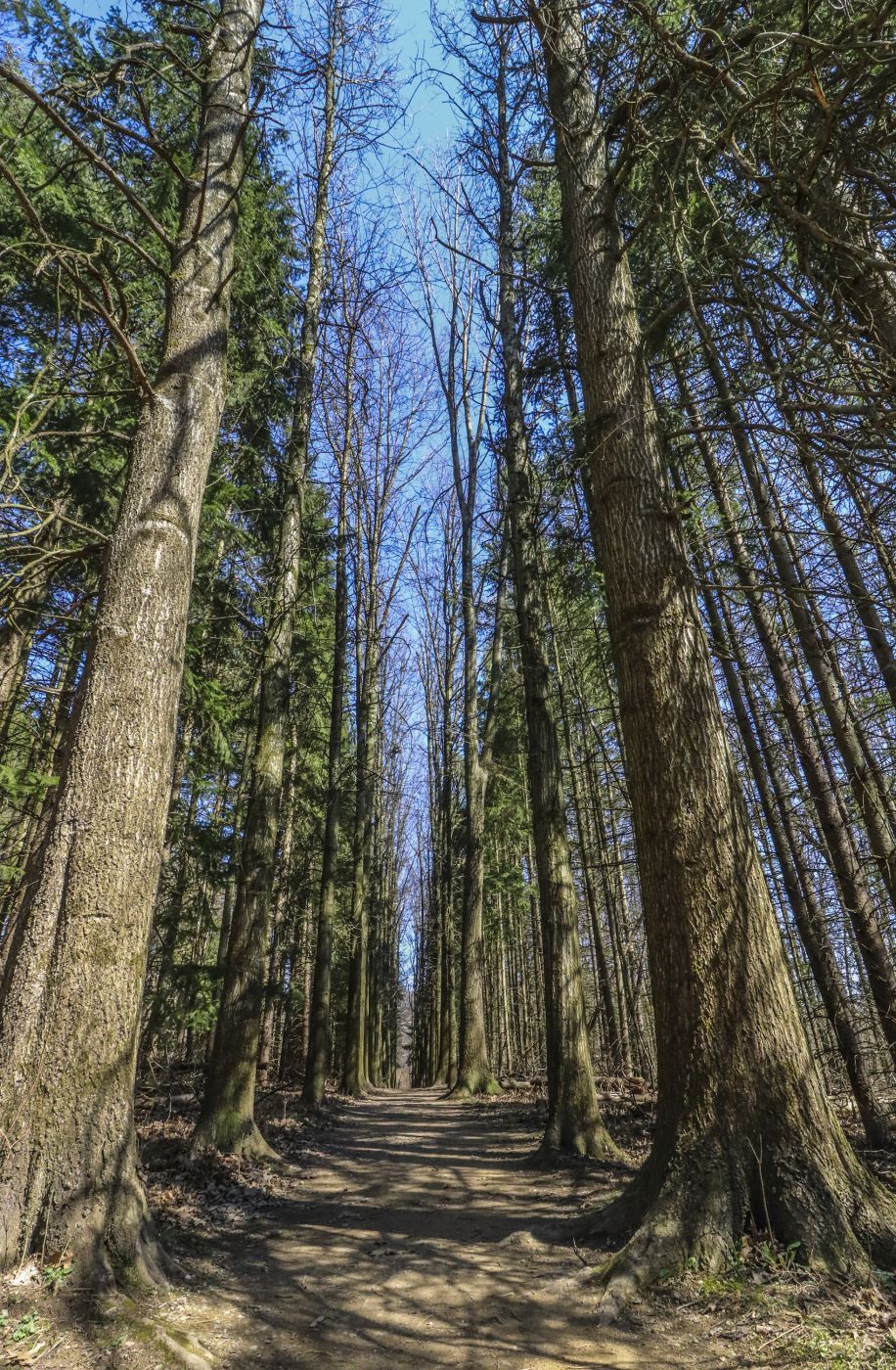 Oak Hill Trail, USA