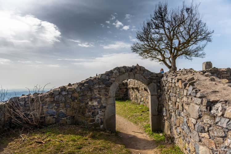Ruin Löwenburg (Königswinter)