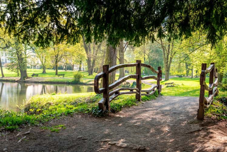 Schlosspark Sayn