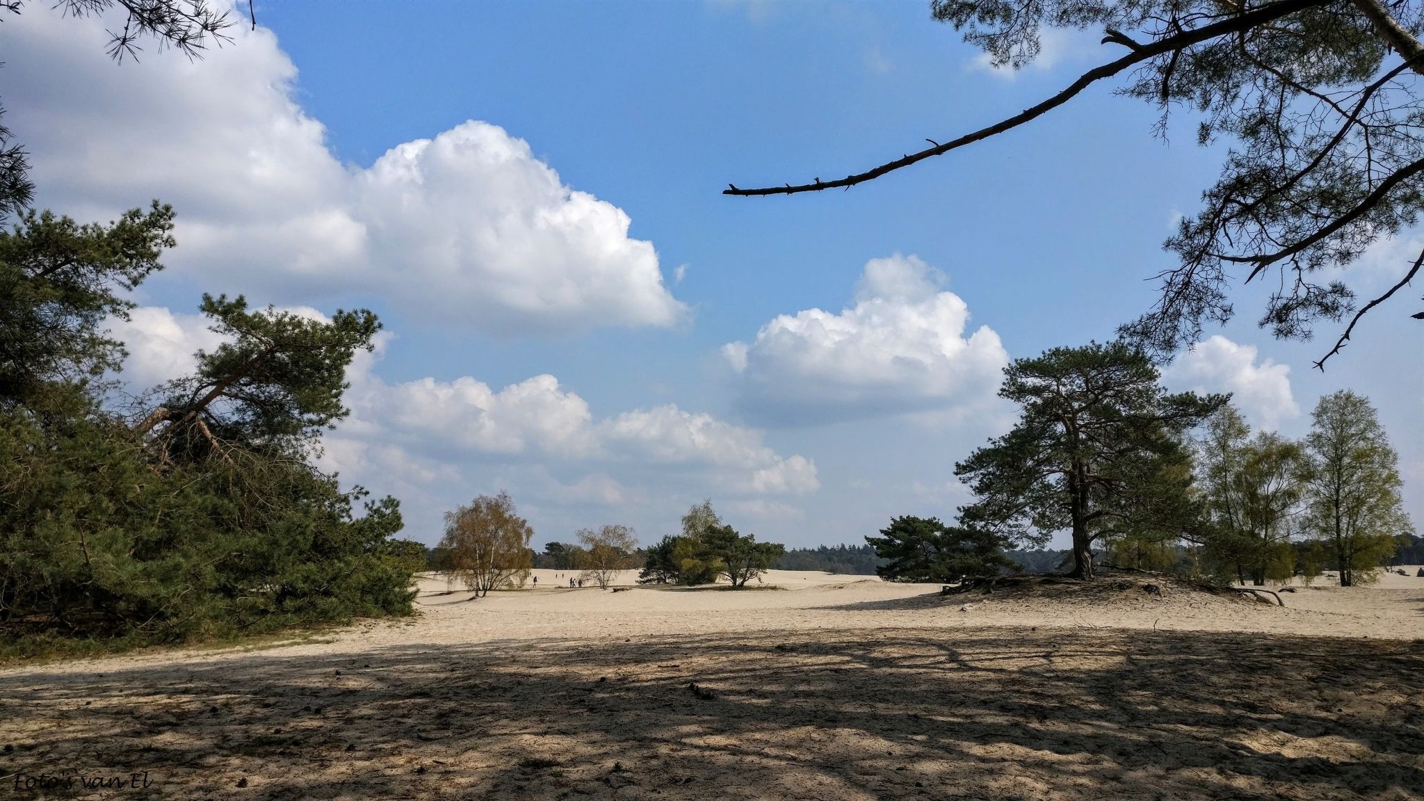 Soester Duinen, Netherlands
