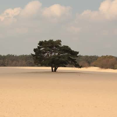 Soester Duinen, Netherlands