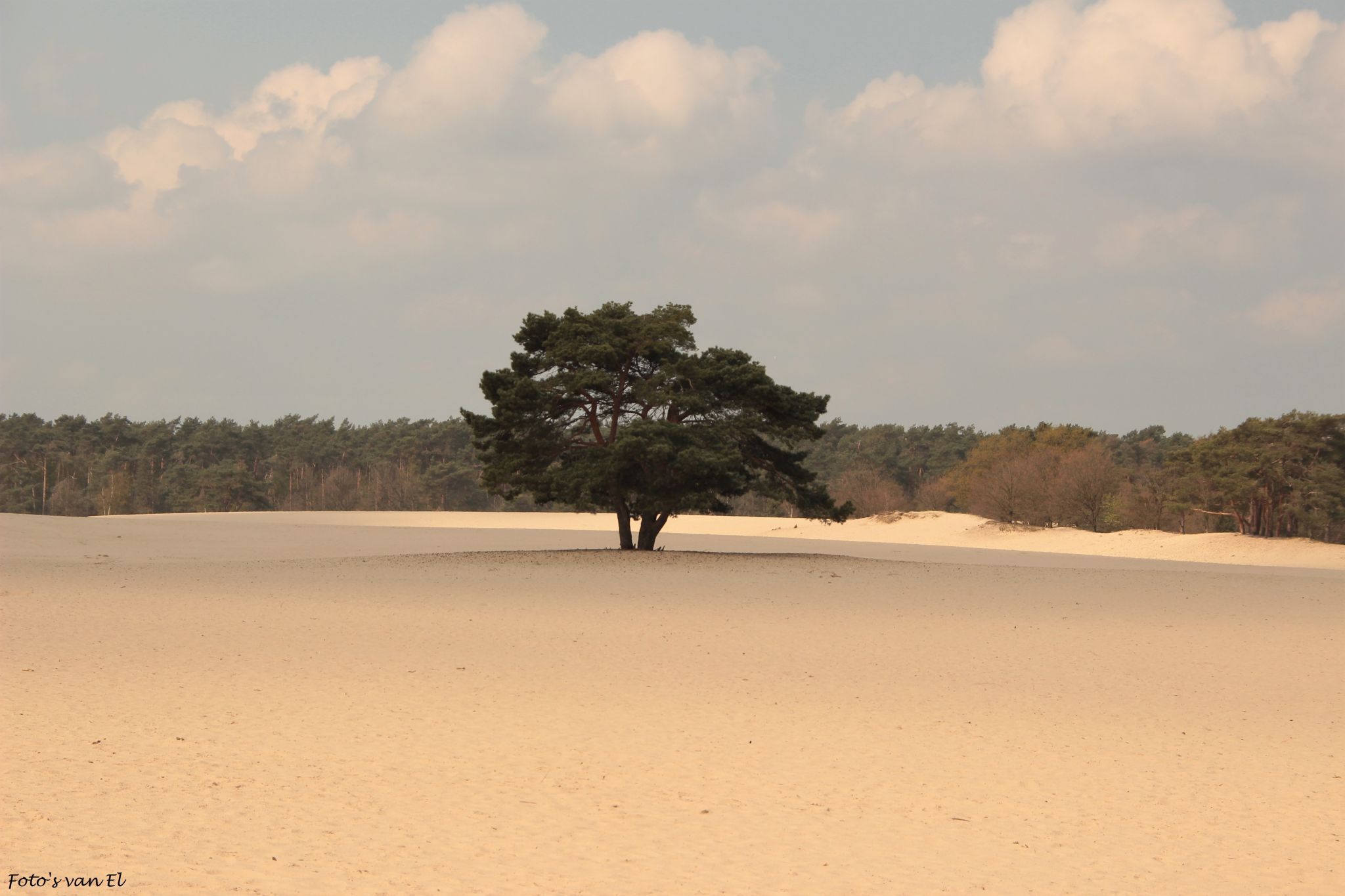 Soester Duinen, Netherlands