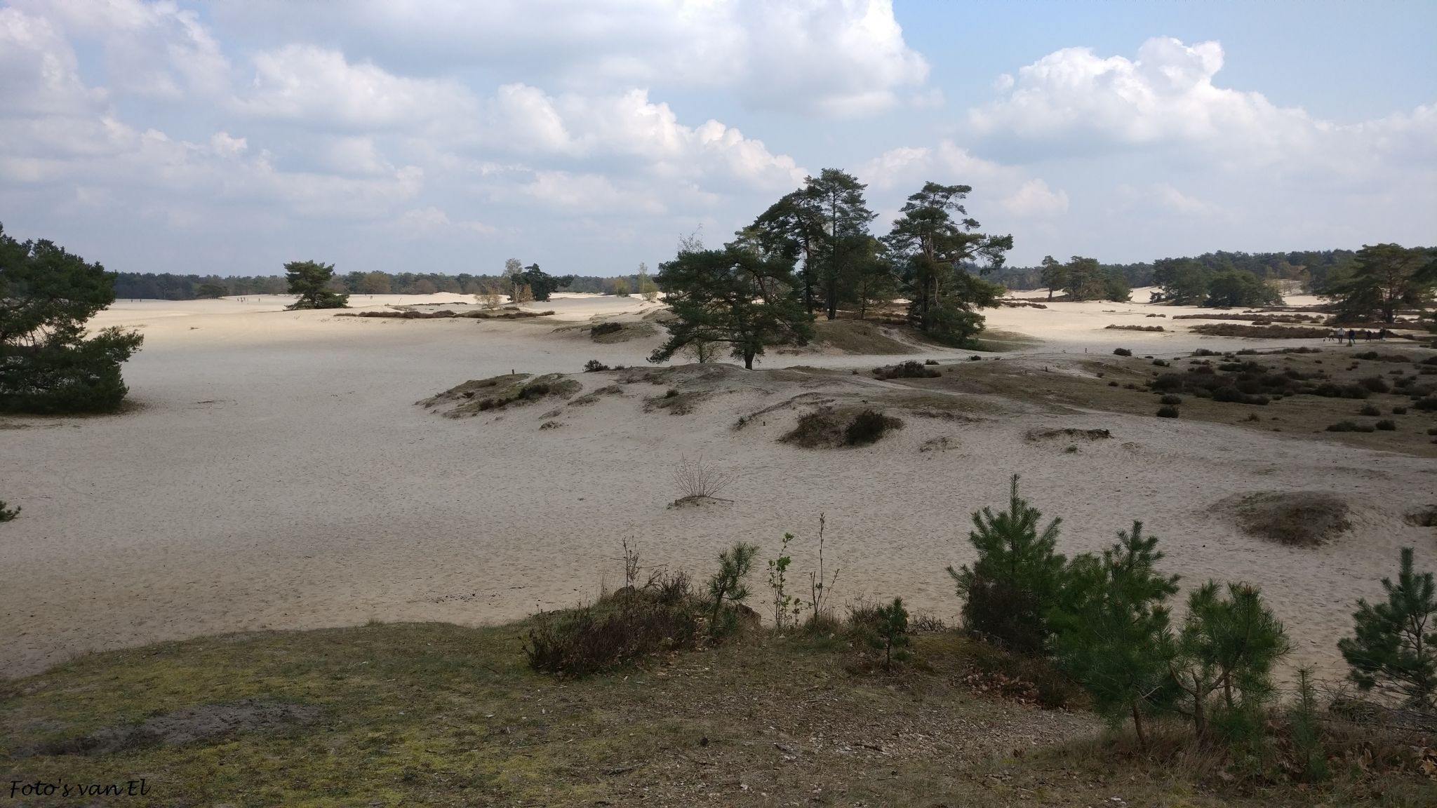 Soester Duinen, Netherlands