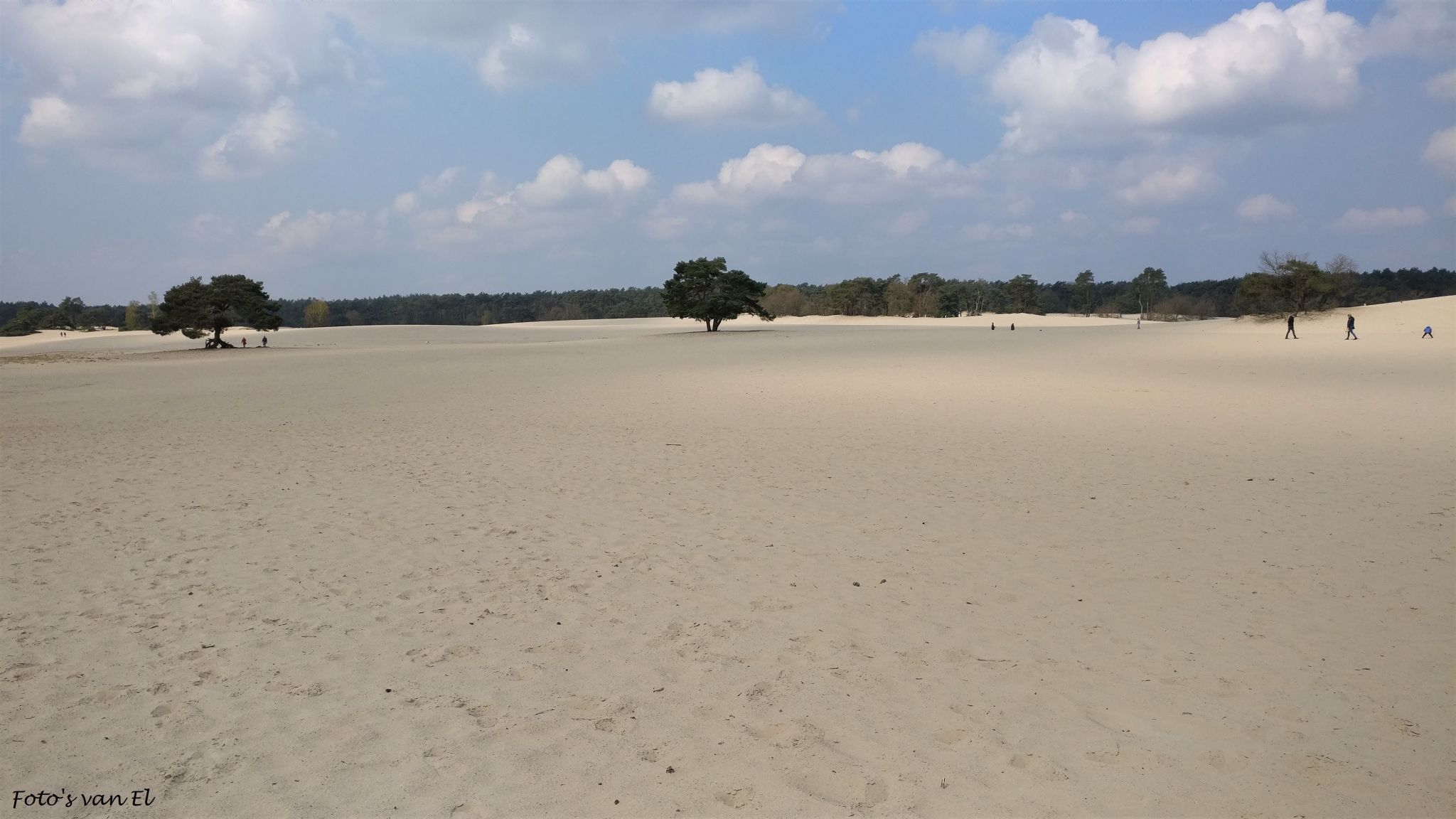 Soester Duinen, Netherlands