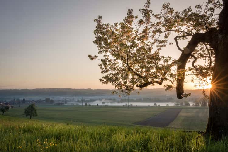 Sonnenrain