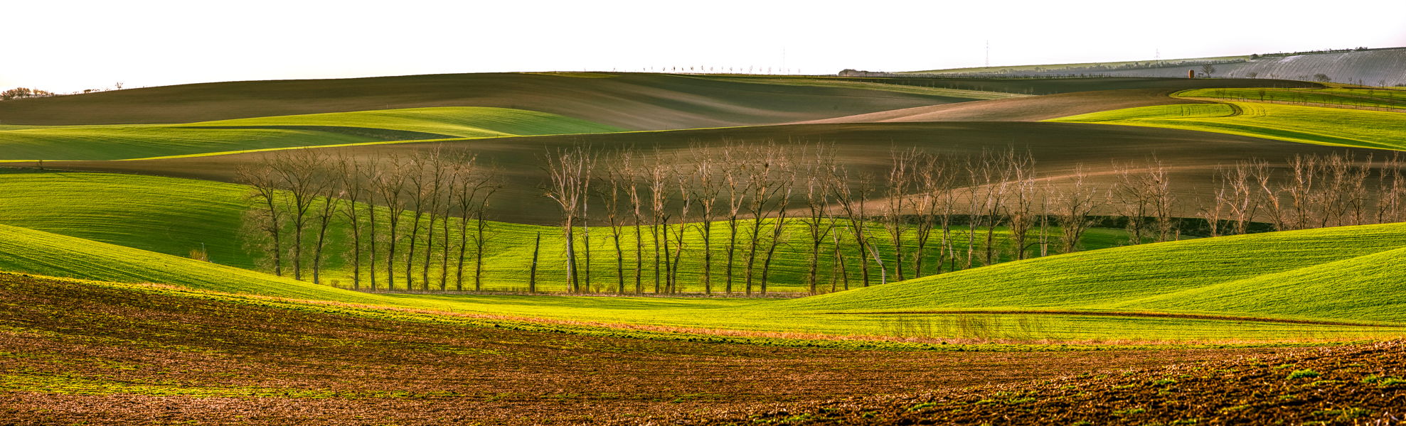 South Moravian Spring, Czech Republic