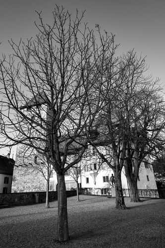 Spiez castle