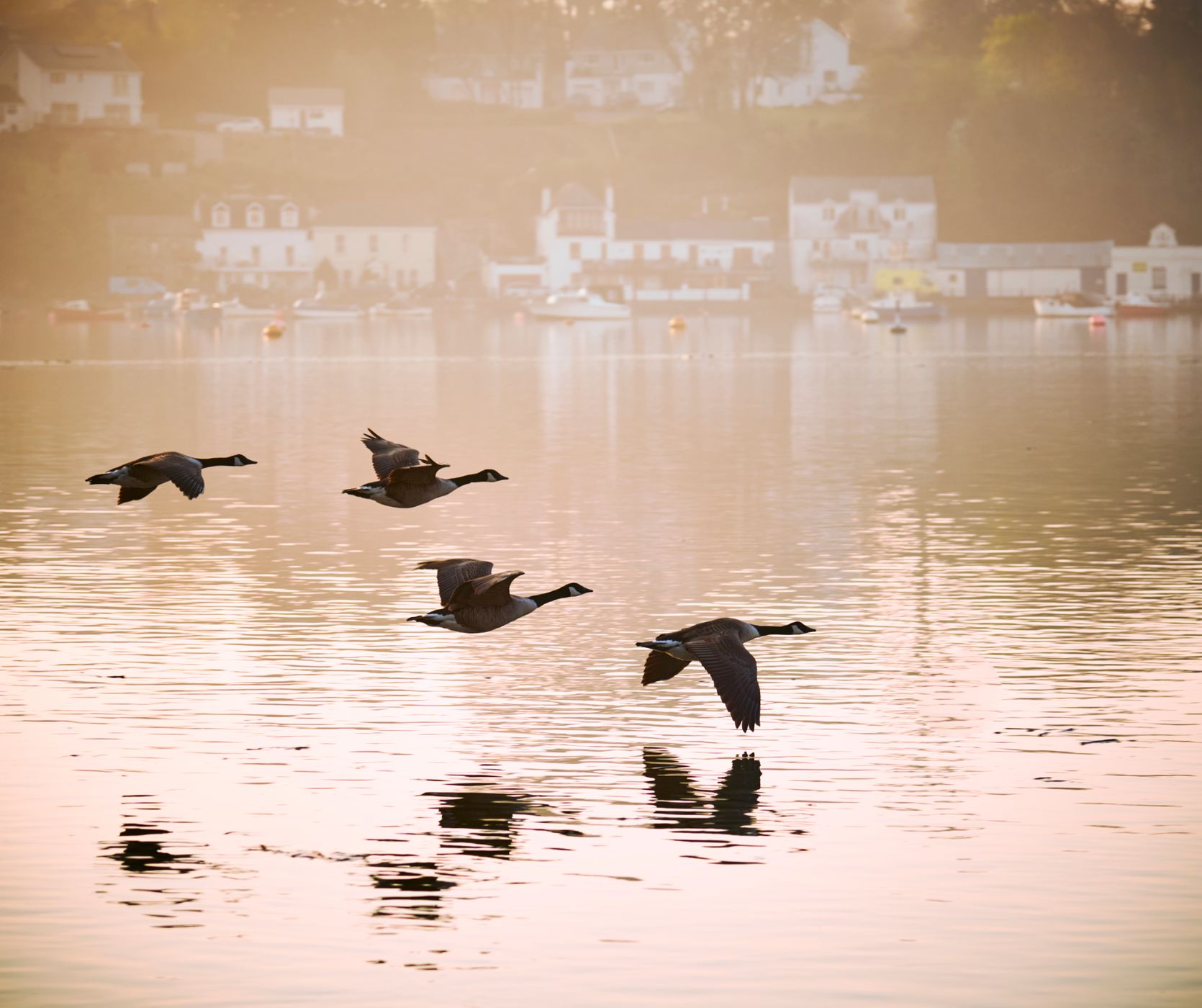 Tamar Bridge, Saltash, United Kingdom