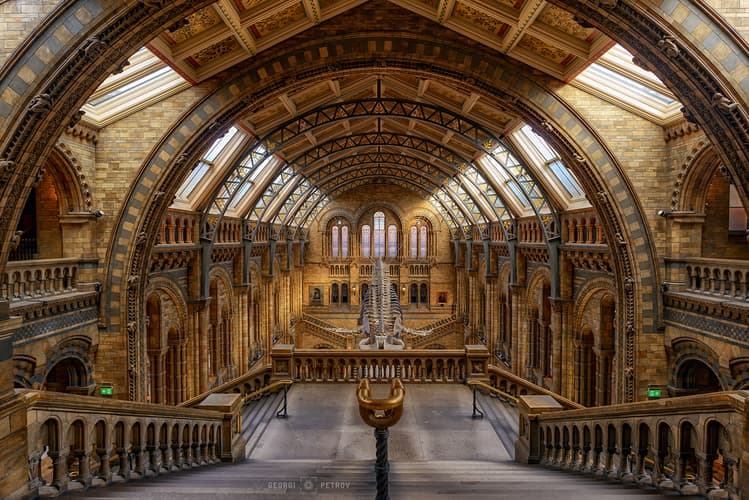 The Natural History Museum, London