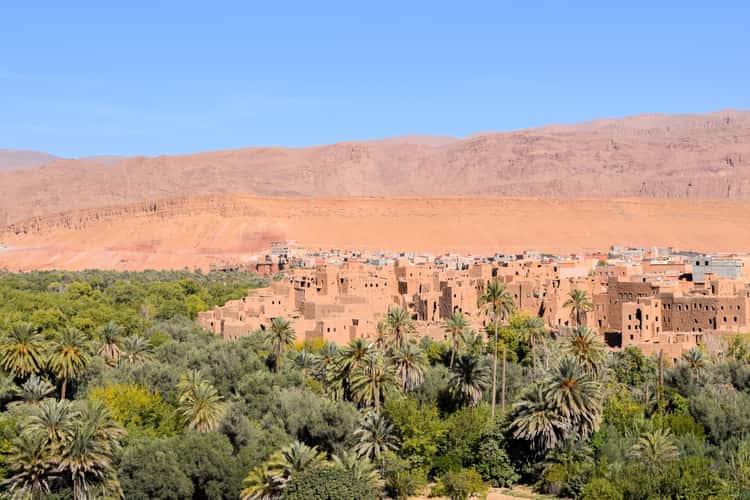 Tinghir palm grove