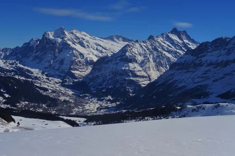 Top of Männlichen