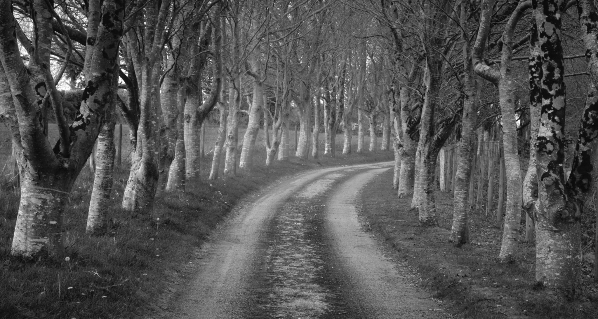 Trematon Walk, United Kingdom