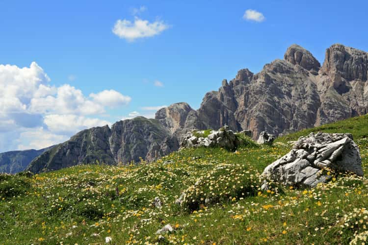 Below the Tre Cime di Lavaredo