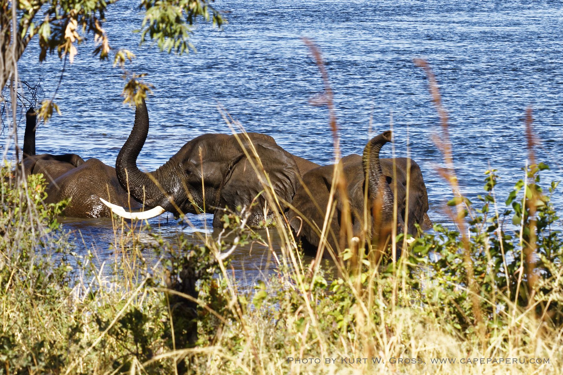 Victoria Falls, Zambesi River, Zambia, Zambia