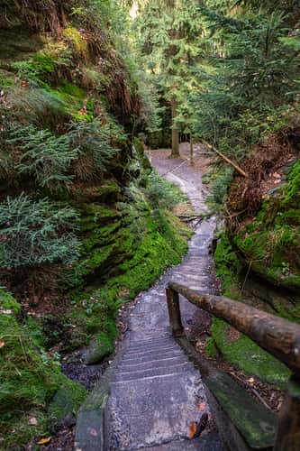 Wandern im Elbsandsteingebirge