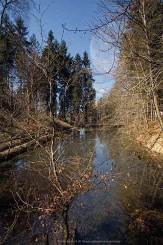 Weiher Etel, Schneisingen