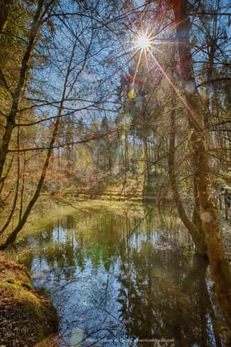 Weiher Etel, Schneisingen