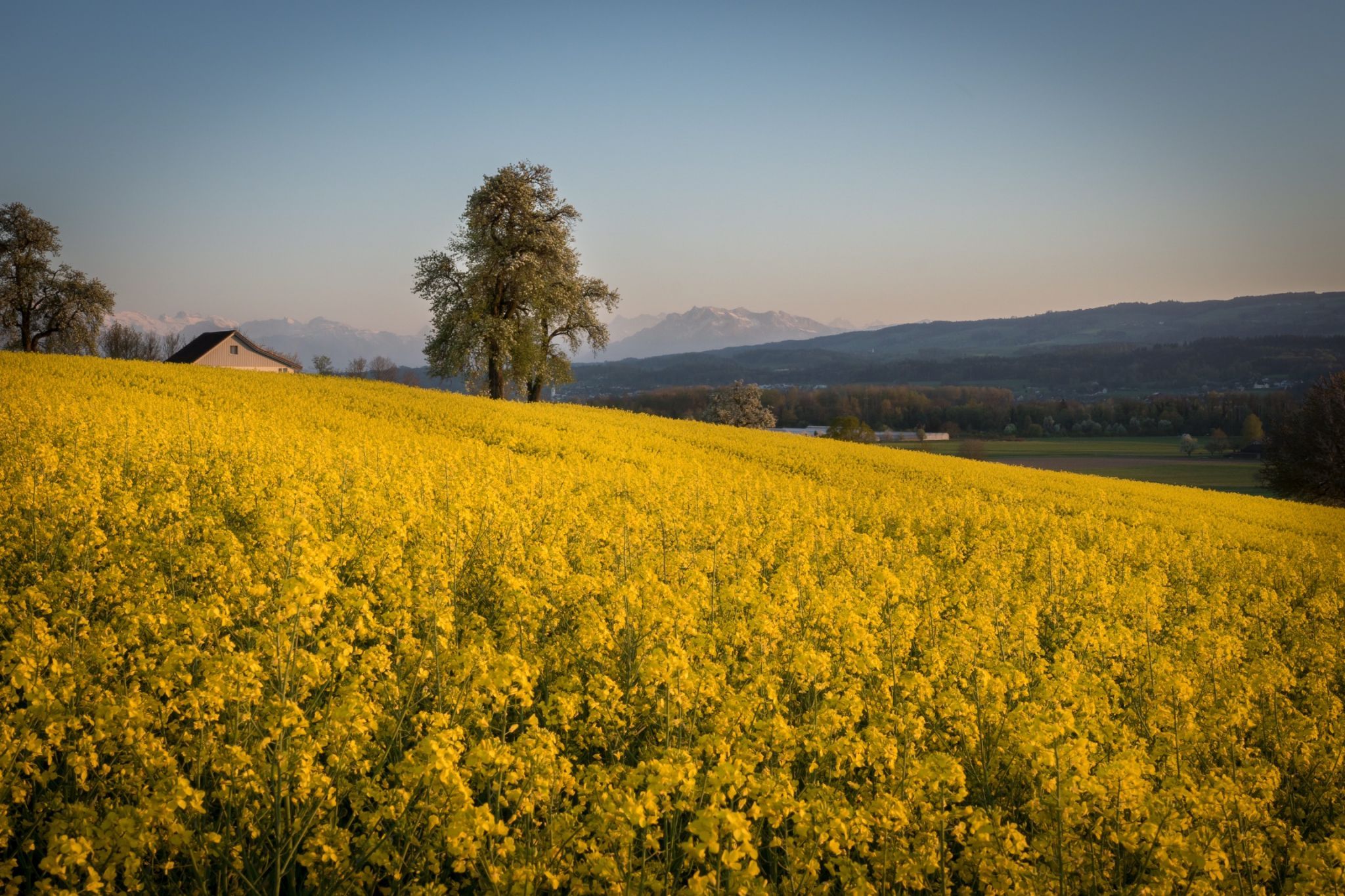 Werdstrasse, Switzerland
