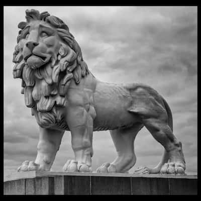 Westminster Bridge Lion, United Kingdom