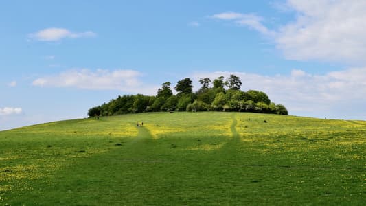 Wittenham Clumps