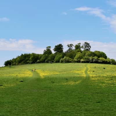 Wittenham Clumps, United Kingdom