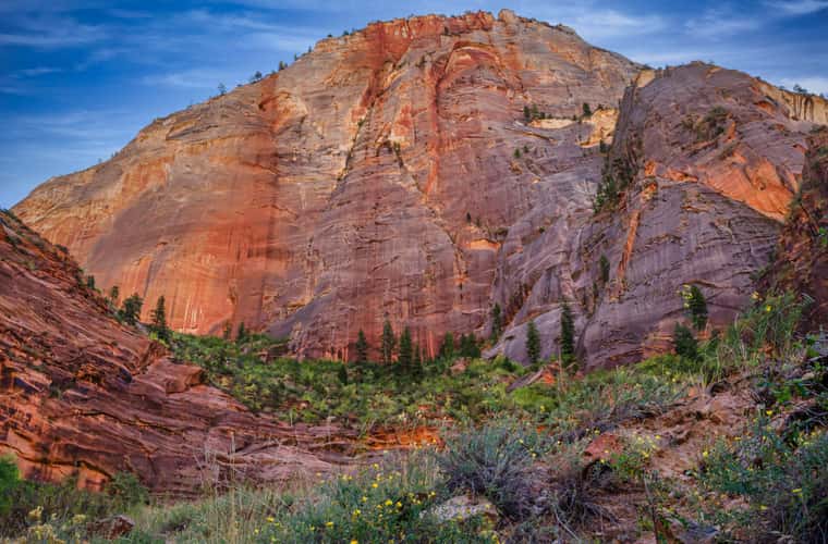 Zion National Park