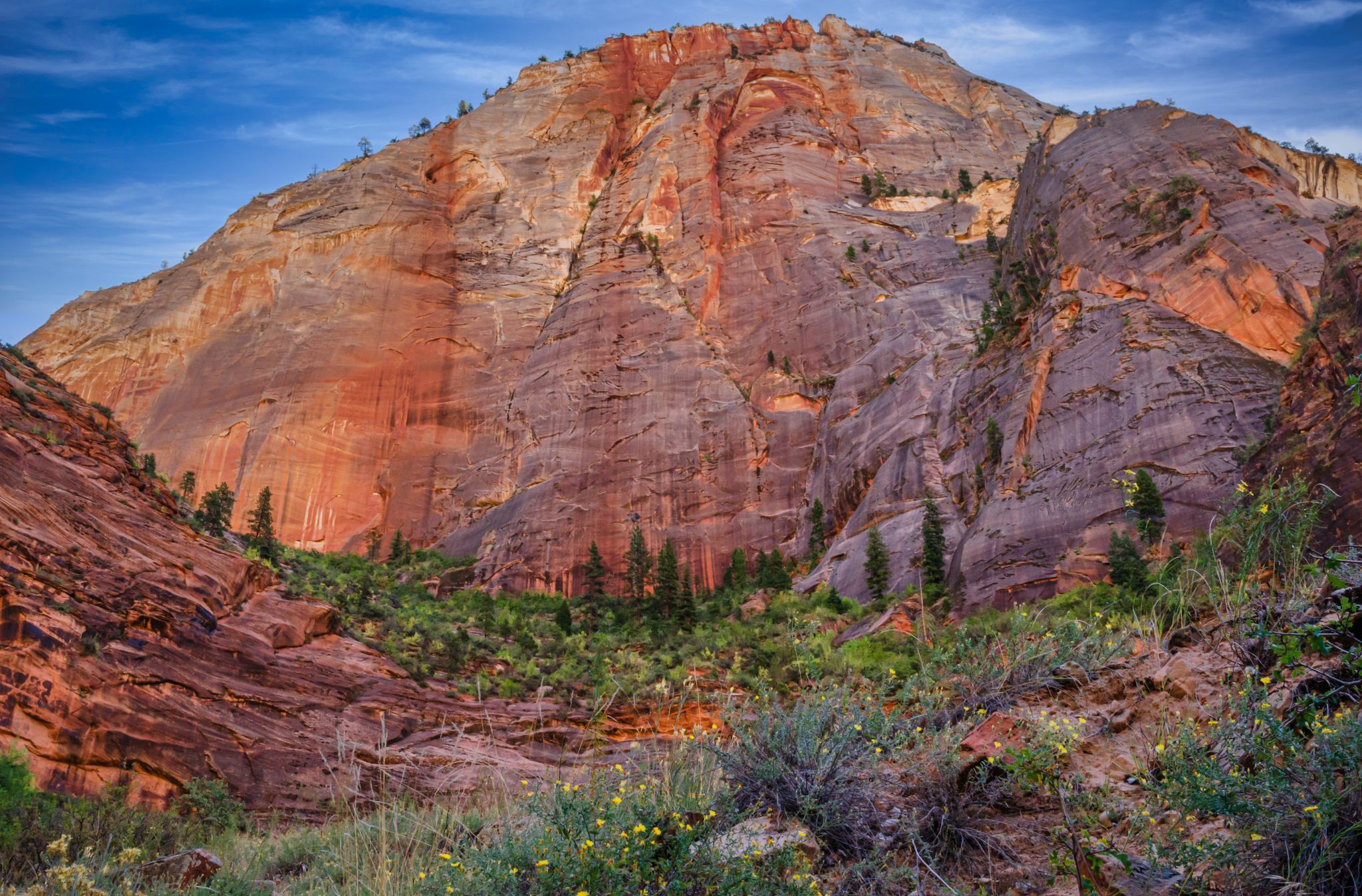 Zion National Park, USA